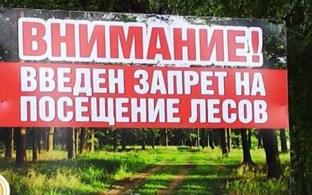 Приказ №281 от 27.04.2023 г. Министерства лесного хозяйства, охраны окружающей среды и природопользования Самарской области