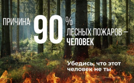 Федеральная кампания "Профилактика лесных пожаров" в рамках национального проекта "Экология"