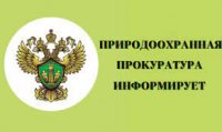 О внесении изменений в законодательство Российской Федерации, касающихся вопросов ликвидации накопленного вреда оокружающей среде