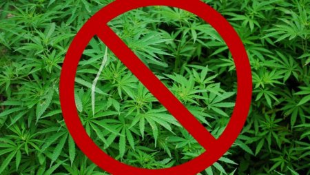 В Волжском районе полицейские задержали подозреваемого в незаконном обороте наркотикосодержащих растений
