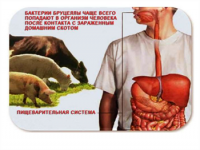 Специалистами Государственной ветеринарной службы Самарской области установлен  новый очаг бруцеллеза крупного рогатого скота на территории региона