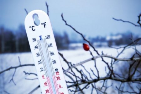 Морозы и как им противостоять. Ожидается понижение температуры воздуха в регионе