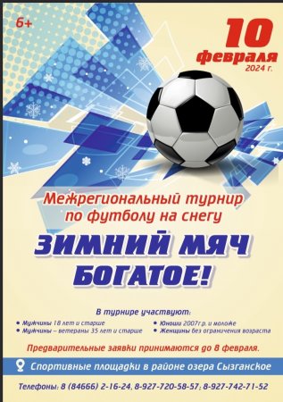 Межрегиональный турнир по футболу на снегу "Зимний мяч Богатое!"