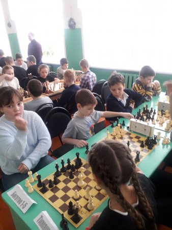 Шахматные баталии в Максимовке