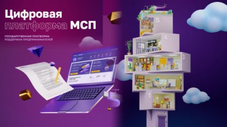 В Самарской области динамично растет число пользователей Цифровой платформы МСП.РФ