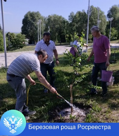 Зазеленела Роща Росреестра