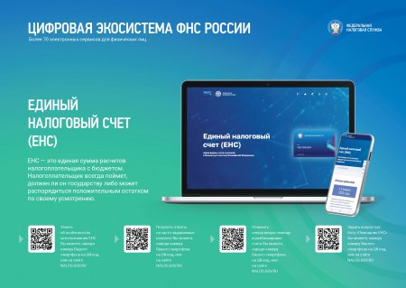 Цифровая экосистема ФНС России