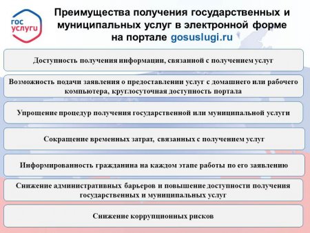 Массовые социально значимые услуги (МСЗУ) в электронном формате