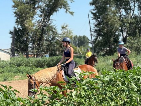 Программа «Мама-предприниматель» помогла жительнице Ставропольского района с развитием конного клуба