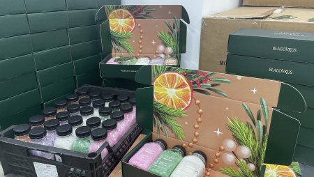 Выручка участников программы «Платформа роста» из Самарской области составила почти 350 млн рублей