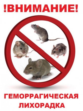 Геморрагическая лихорадка с почечным синдромом.